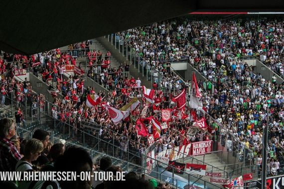 Borussia Mönchengladbach vs 1. FSV Mainz 05 (0-1) (11)