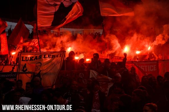 TSG Hoffenheim vs 1. FSV Mainz 05 (3-2) (4)