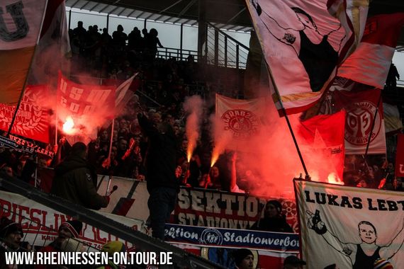 TSG Hoffenheim vs 1. FSV Mainz 05 (3-2) (7)