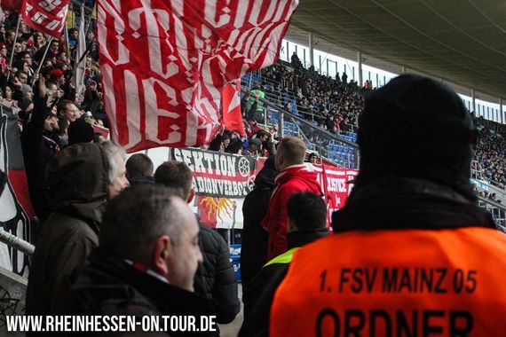 TSG Hoffenheim vs 1. FSV Mainz 05 (3-2) (9)