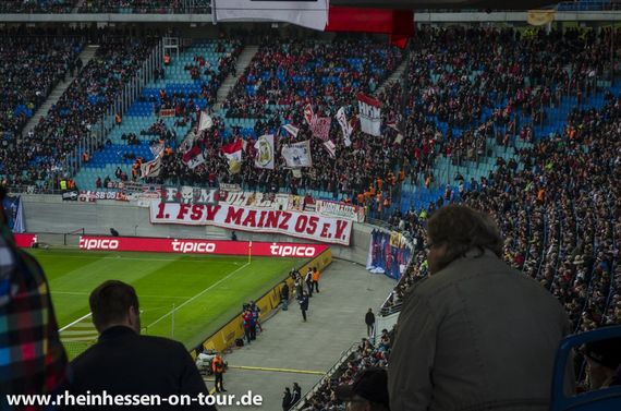 RB Leipzig vs 1. FSV Mainz 05 (3-1) (8)