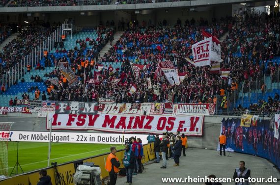 RB Leipzig vs 1. FSV Mainz 05 (3-1) (13)