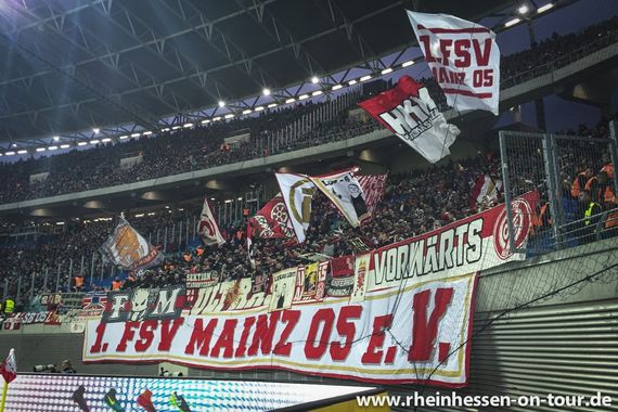 RB Leipzig vs 1. FSV Mainz 05 (3-1) (17)