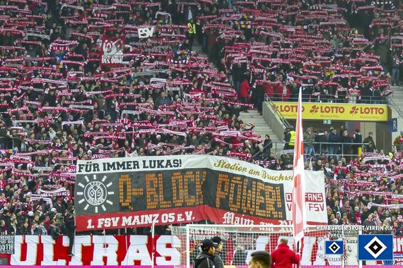 1. FSV Mainz 05 vs Hamburger SV (3-1) (1)