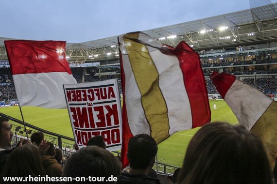 TSG Hoffenheim vs 1. FSV Mainz 05 (4-0) (6)