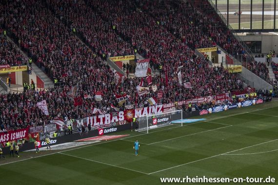 1. FSV Mainz 05 vs VfL Wolfsburg (1-1) (8)
