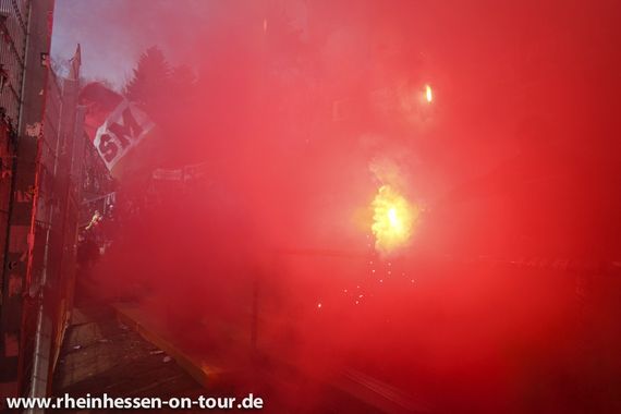 SV Darmstadt 98 vs 1. FSV Mainz 05 (2-1) (29)