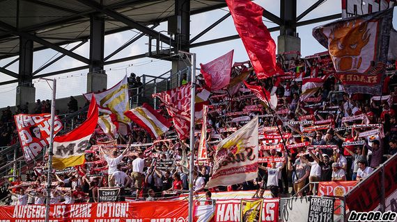 FC Ingolstadt 04 vs 1. FSV Mainz 05 (2-1) (2)