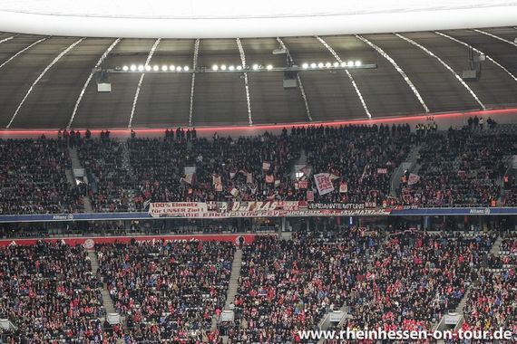 FC Bayern München vs 1. FSV Mainz 05 (2-2) (19)