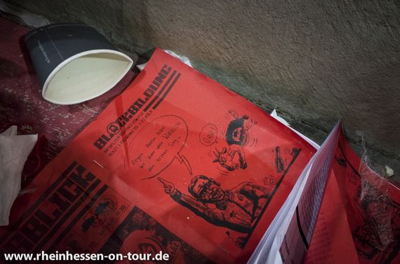 1. FSV Mainz 05 vs 1. FC Köln (1-0) (27)