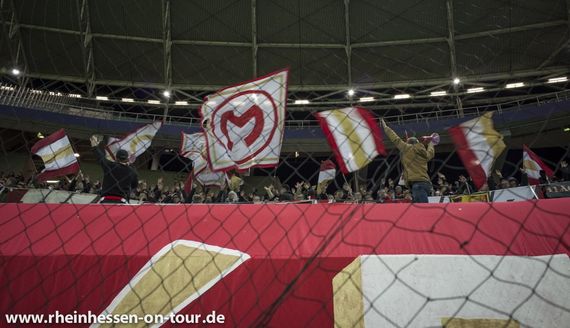 RB Leipzig vs 1. FSV Mainz 05 (2-2) (23)