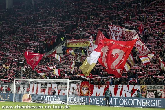 1. FSV Mainz 05 vs Borussia Dortmund (0-2) (19)