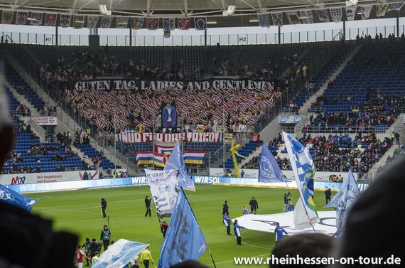 TSG Hoffenheim vs 1. FSV Mainz 05 (4-2) (13)