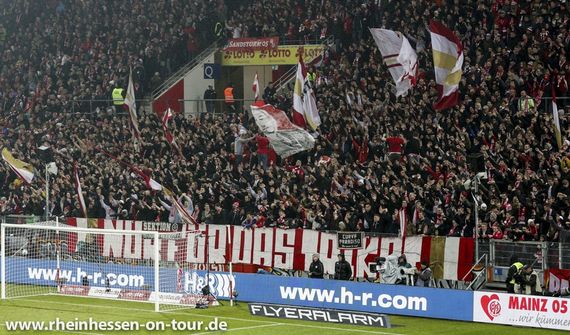 1. FSV Mainz 05 vs FC Schalke 04 (0-1) (13)