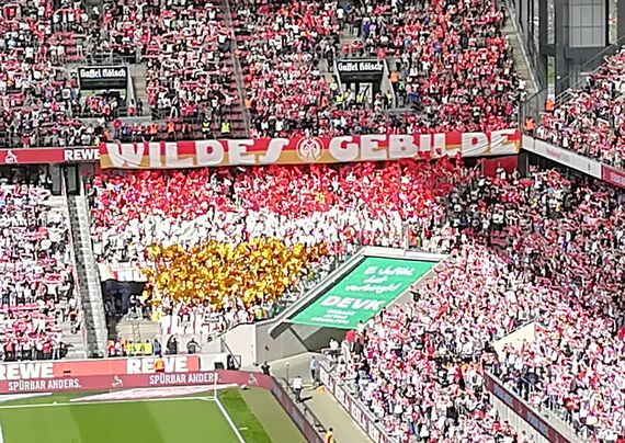 1. FC Köln vs 1. FSV Mainz 05 (1-1) (1)
