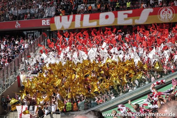 1. FC Köln vs 1. FSV Mainz 05 (1-1) (13)