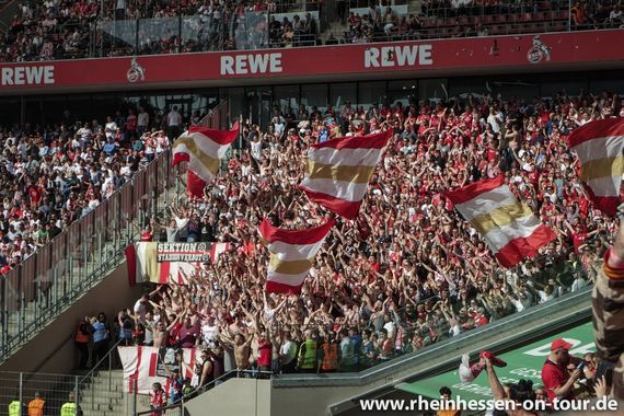 1. FC Köln vs 1. FSV Mainz 05 (1-1) (15)