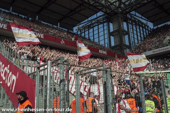 1. FC Köln vs 1. FSV Mainz 05 (1-1) (16)