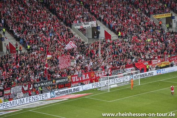 1. FSV Mainz 05 vs Bayer 04 Leverkusen (3-1) (11)