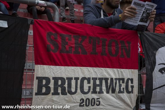 1. FSV Mainz 05 vs Bayer 04 Leverkusen (3-1) (39)