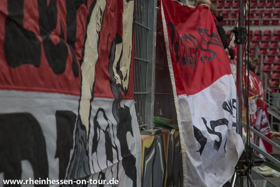 1. FSV Mainz 05 vs Bayer 04 Leverkusen (3-1) (44)
