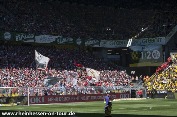 Borussia Dortmund vs 1. FSV Mainz 05 (1-2) (18)