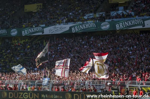 Borussia Dortmund vs 1. FSV Mainz 05 (1-2) (26)