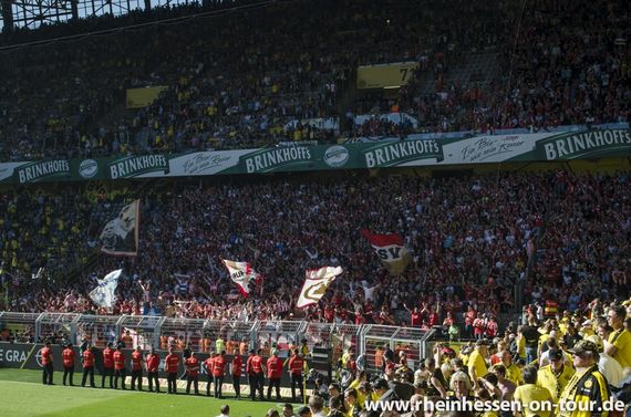 Borussia Dortmund vs 1. FSV Mainz 05 (1-2) (29)