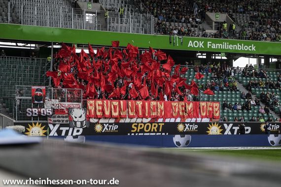 VfL Wolfsburg vs 1. FSV Mainz 05 (1-1) (9)
