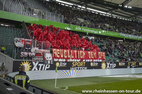 VfL Wolfsburg vs 1. FSV Mainz 05 (1-1) (10)