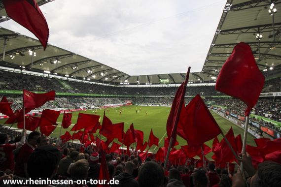 VfL Wolfsburg vs 1. FSV Mainz 05 (1-1) (17)
