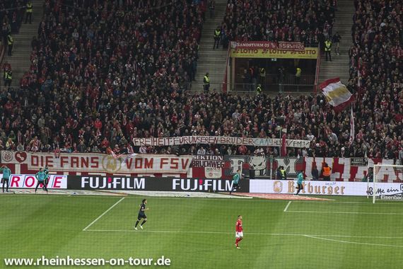 1. FSV Mainz 05 vs Werder Bremen (2-1) (23)