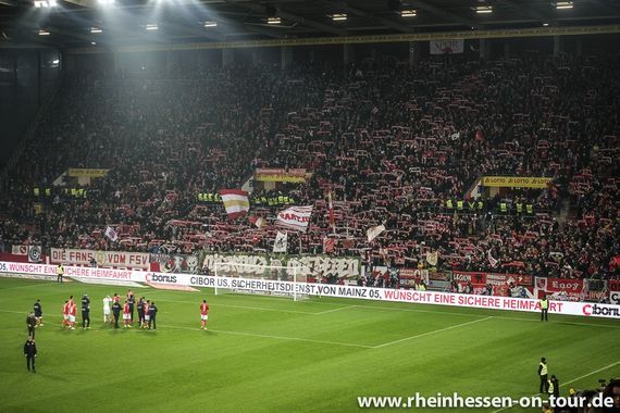 1. FSV Mainz 05 vs Borussia Dortmund (1-2) (29)
