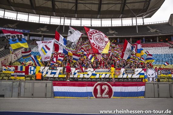 Hertha BSC vs 1. FSV Mainz 05 (2-1) (18)