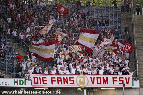 Hannover 96 vs 1. FSV Mainz 05 (1-0) (12)