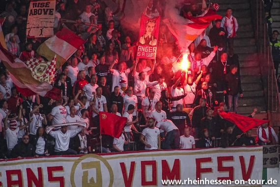 Hannover 96 vs 1. FSV Mainz 05 (1-0) (33)