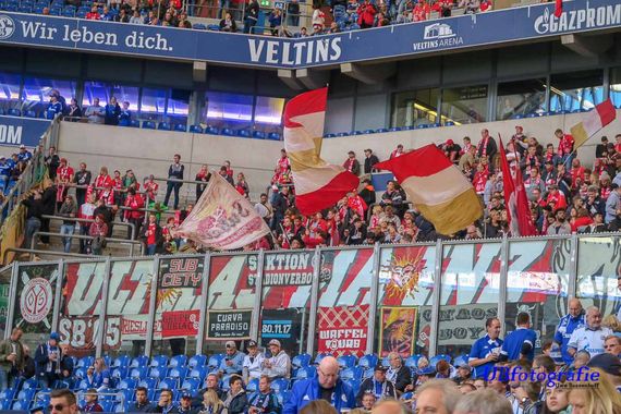 FC Schalke 04 vs 1. FSV Mainz 05 (1-0) (2)
