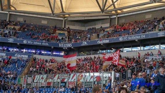 FC Schalke 04 vs 1. FSV Mainz 05 (1-0) (6)