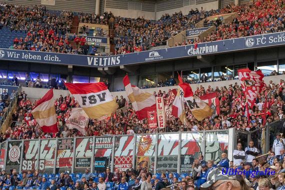 FC Schalke 04 vs 1. FSV Mainz 05 (1-0) (11)