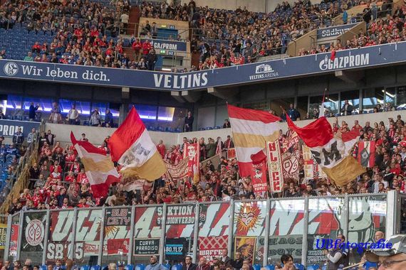 FC Schalke 04 vs 1. FSV Mainz 05 (1-0) (14)