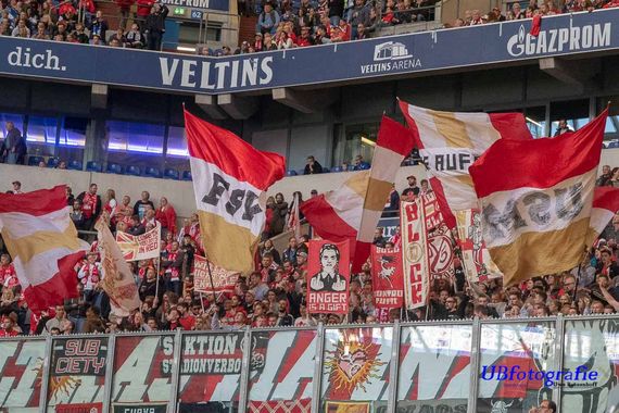 FC Schalke 04 vs 1. FSV Mainz 05 (1-0) (15)