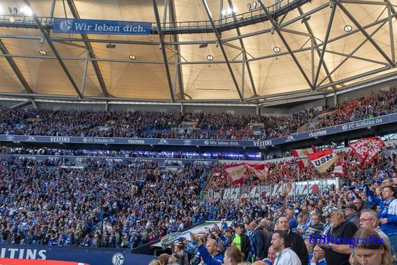 FC Schalke 04 vs 1. FSV Mainz 05 (1-0) (19)