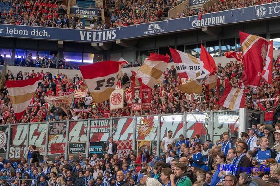 FC Schalke 04 vs 1. FSV Mainz 05 (1-0) (23)