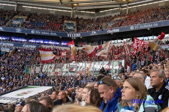 FC Schalke 04 vs 1. FSV Mainz 05 (1-0) (25)