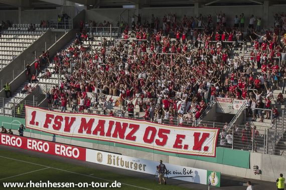 FC Erzgebirge Aue vs 1. FSV Mainz 05 (1-3) (2)
