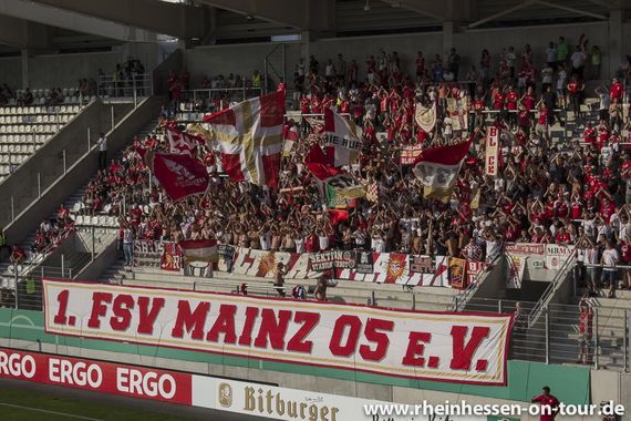 FC Erzgebirge Aue vs 1. FSV Mainz 05 (1-3) (5)