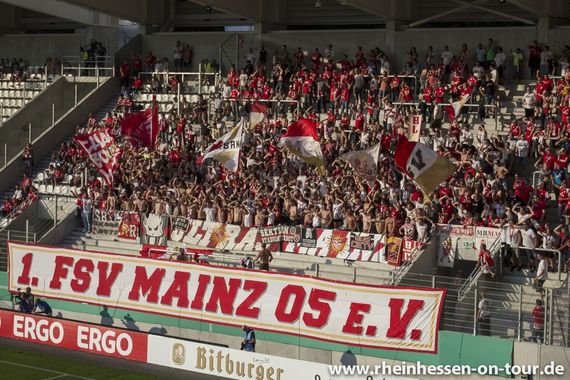 FC Erzgebirge Aue vs 1. FSV Mainz 05 (1-3) (12)