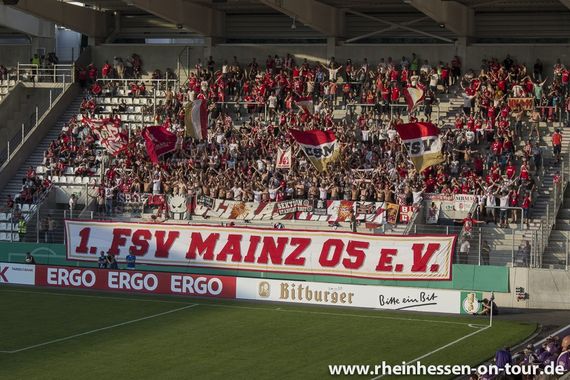 FC Erzgebirge Aue vs 1. FSV Mainz 05 (1-3) (16)