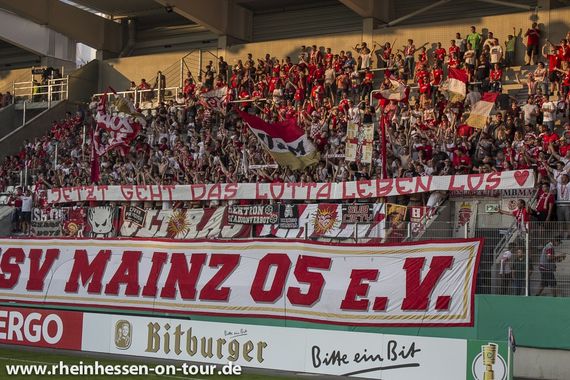 FC Erzgebirge Aue vs 1. FSV Mainz 05 (1-3) (18)