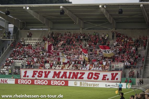 FC Erzgebirge Aue vs 1. FSV Mainz 05 (1-3) (25)